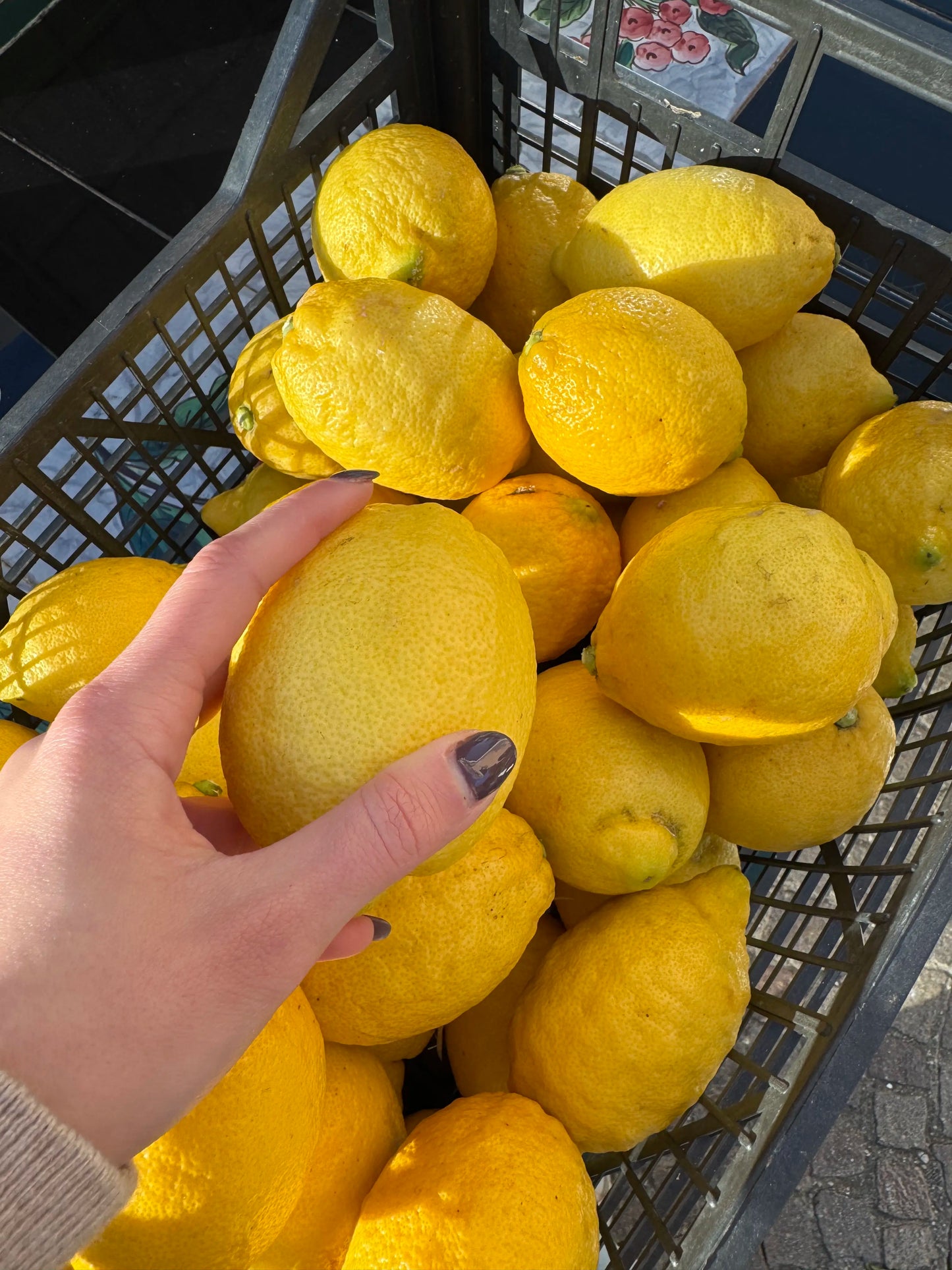 Limoncello Kit Sorrento