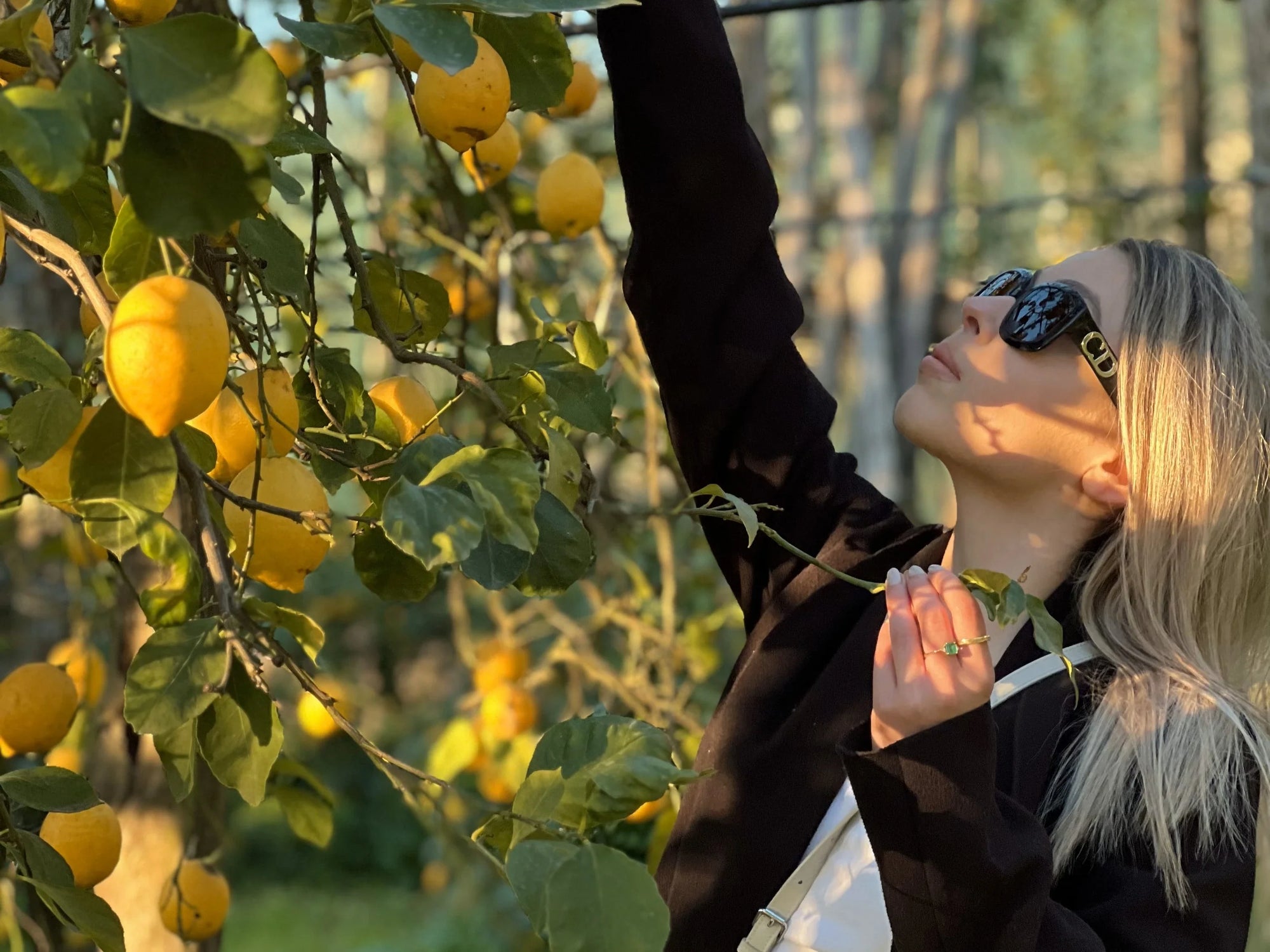 Lemon Tour Sorrento & Limoncello Tasting