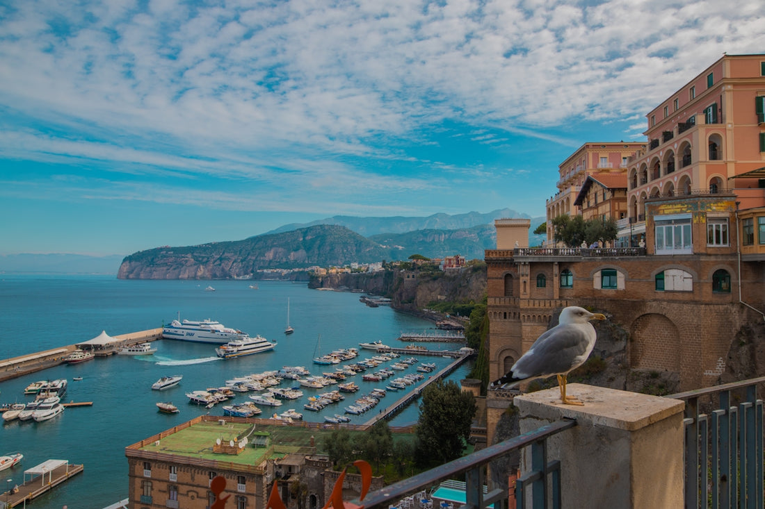 a bird on a railing overlooking a bay with boats and buildings