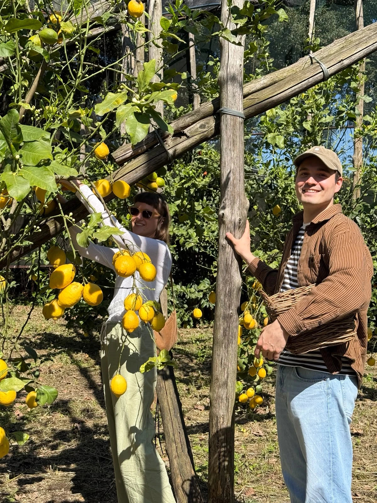 Two participants enjoying a gluten free cooking class, harvesting lemons at a local farm.