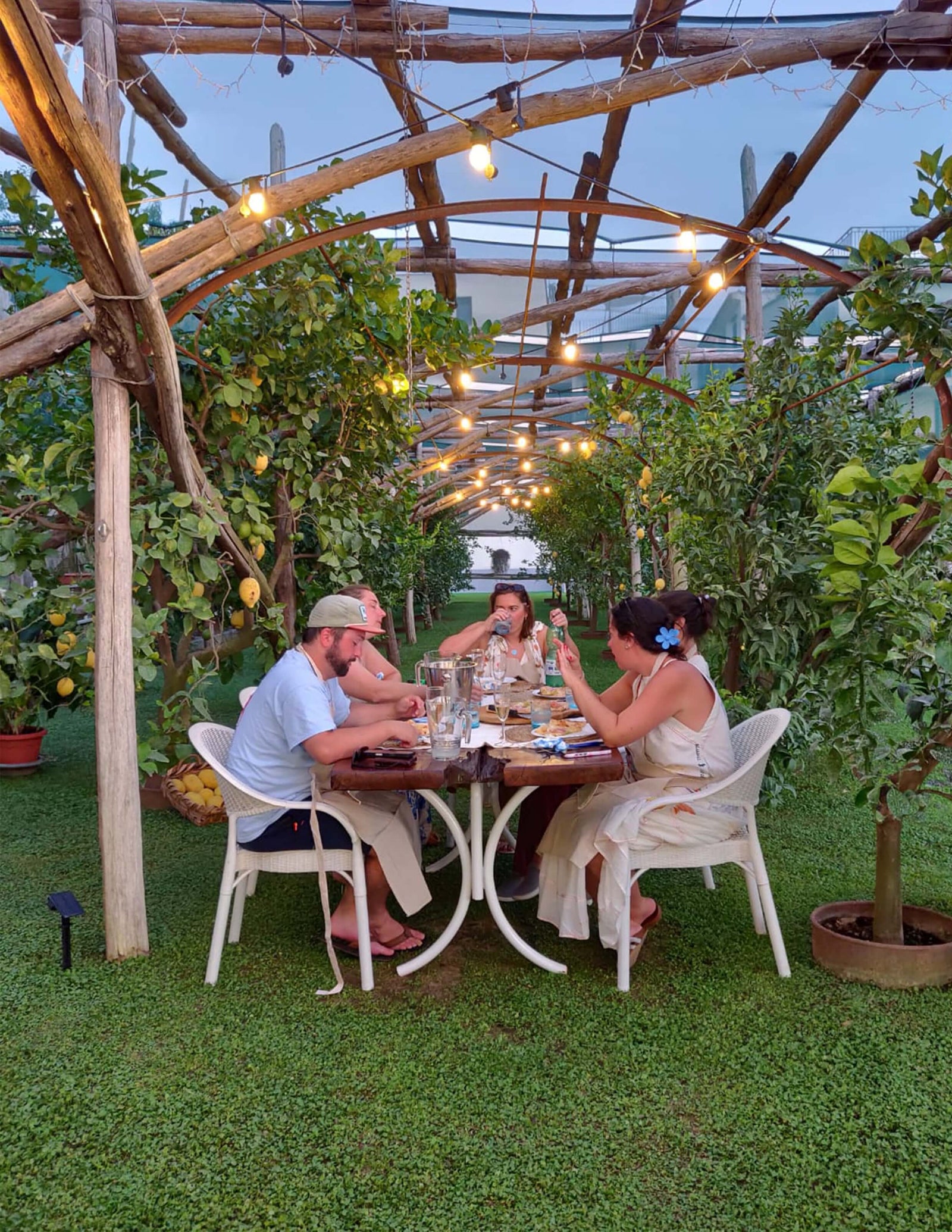 Group enjoying a Pizza Making Class in a seaside lemon grove during sunset in Sorrento.
