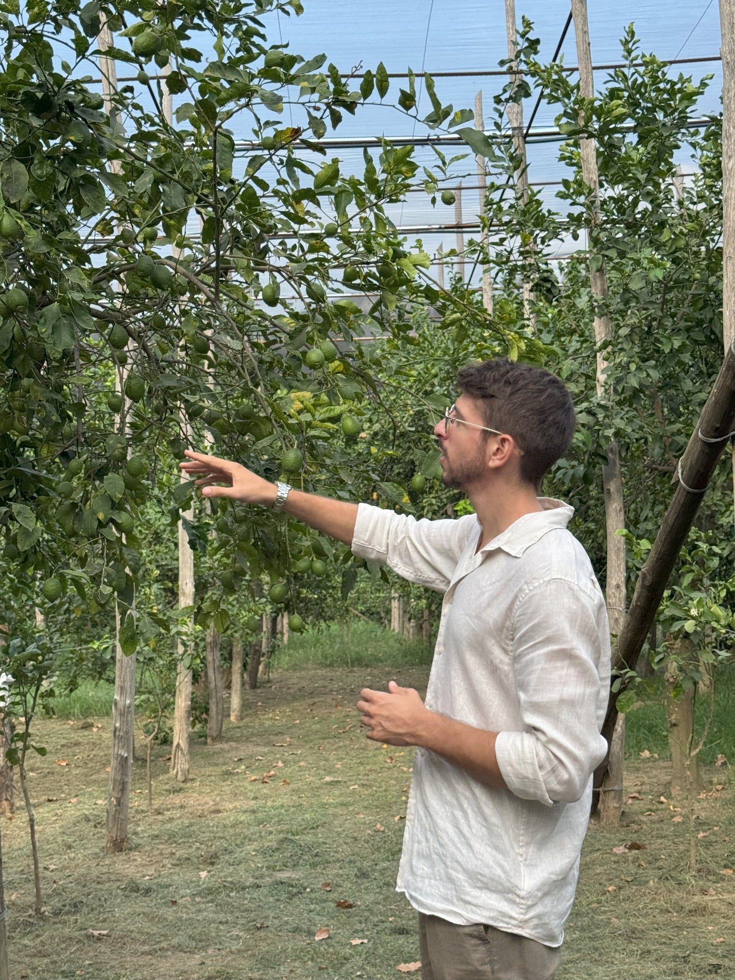 Lemon Tour & Limoncello Spritz Workshop