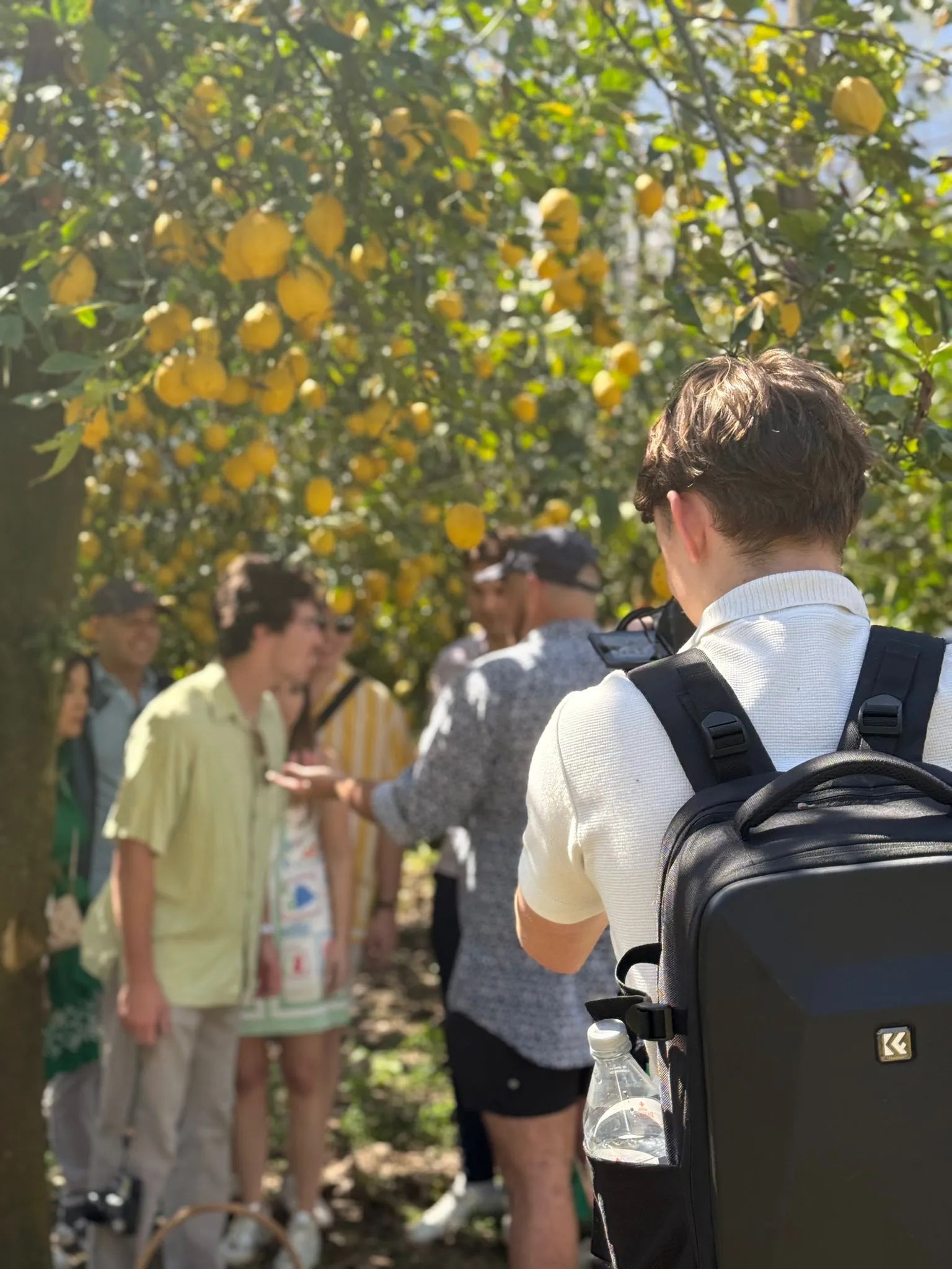 Group attending a guided tour in a lemon orchard during the Gluten Free Cooking Class Sorrento.