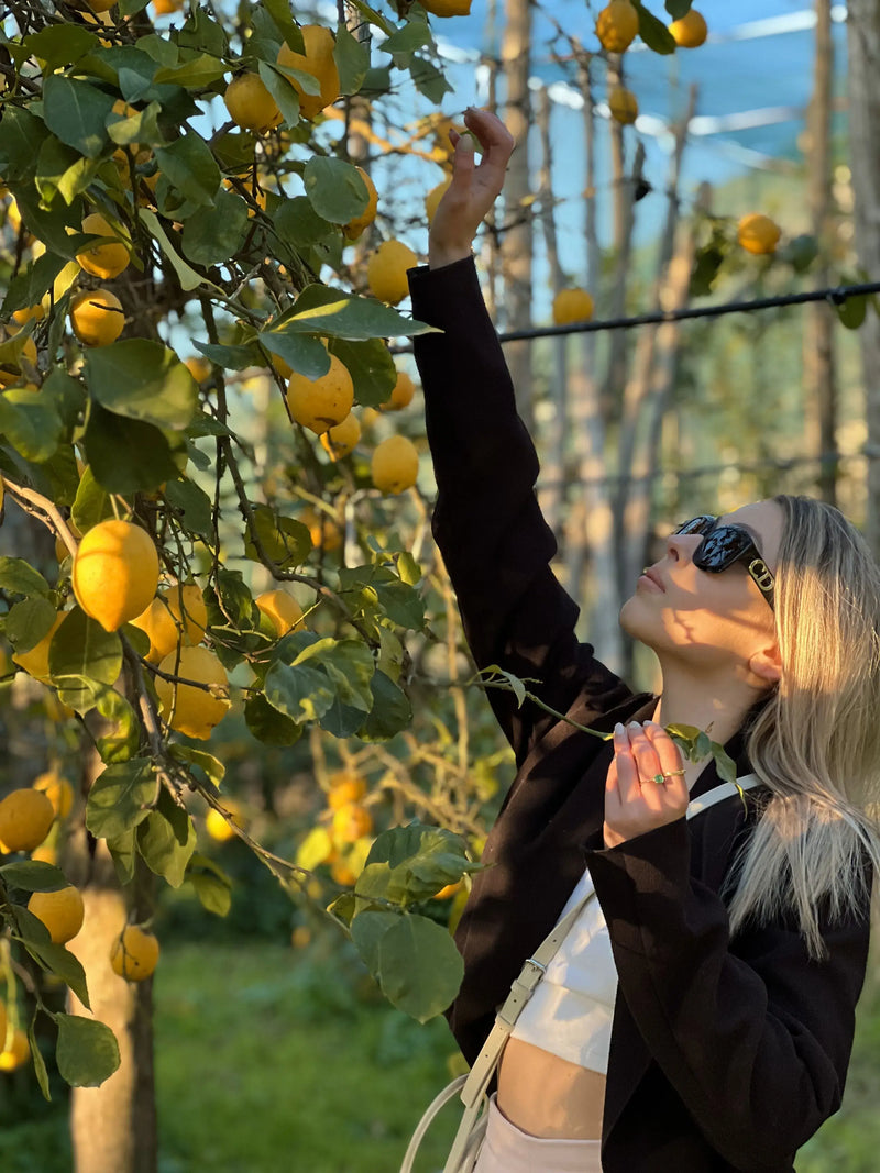 A visitor enjoying the Lemon Tour Sorrento, picking lemons in a vibrant lemon grove.