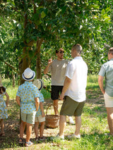 Tourists learning about lemon growing during the lemon grove tour in a sunny orchard.