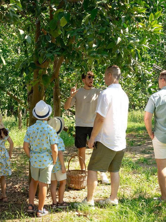 Sorrento Lemon Grove Tour & Tasting