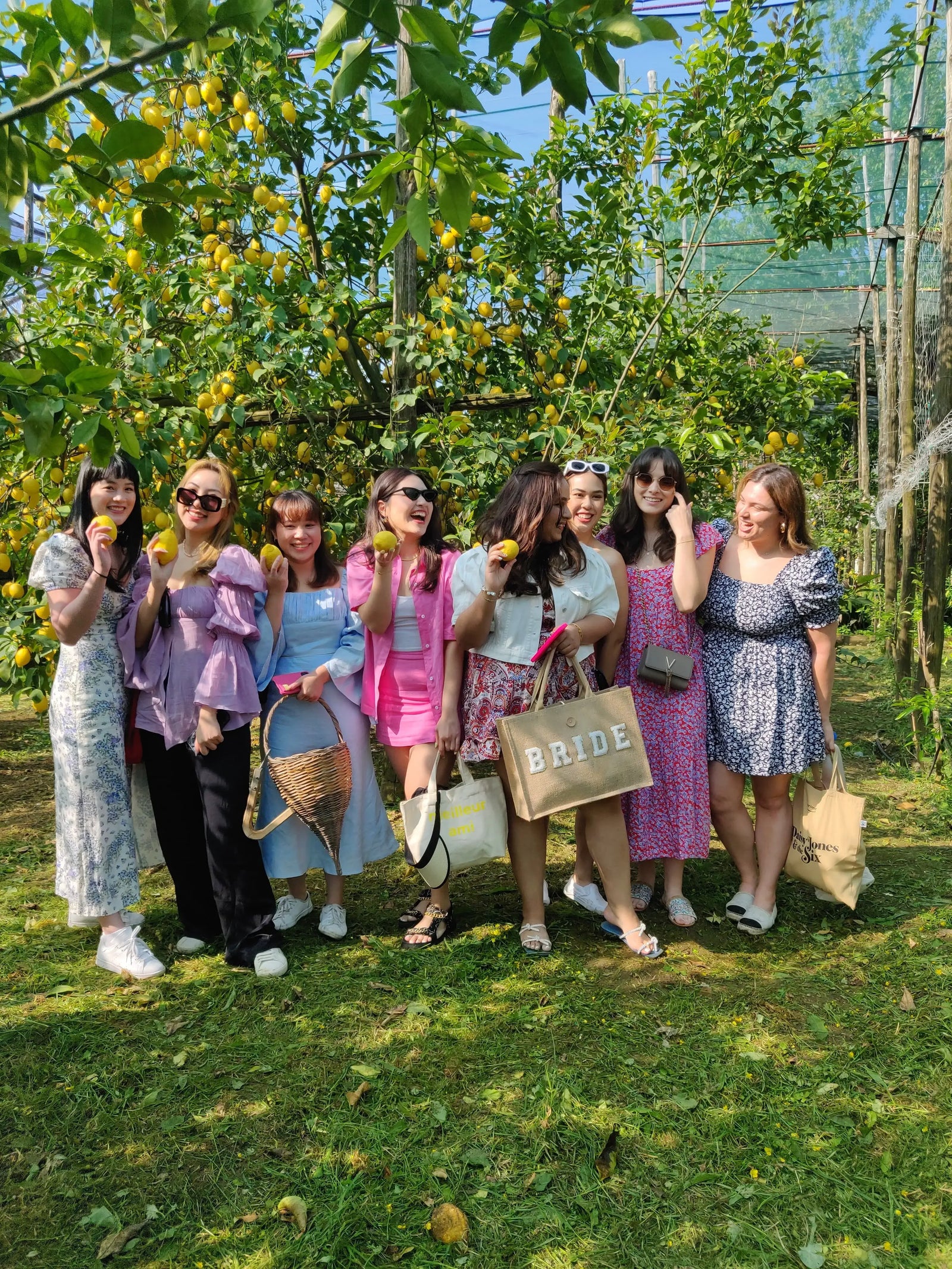 lemon tour sorrento group of friends