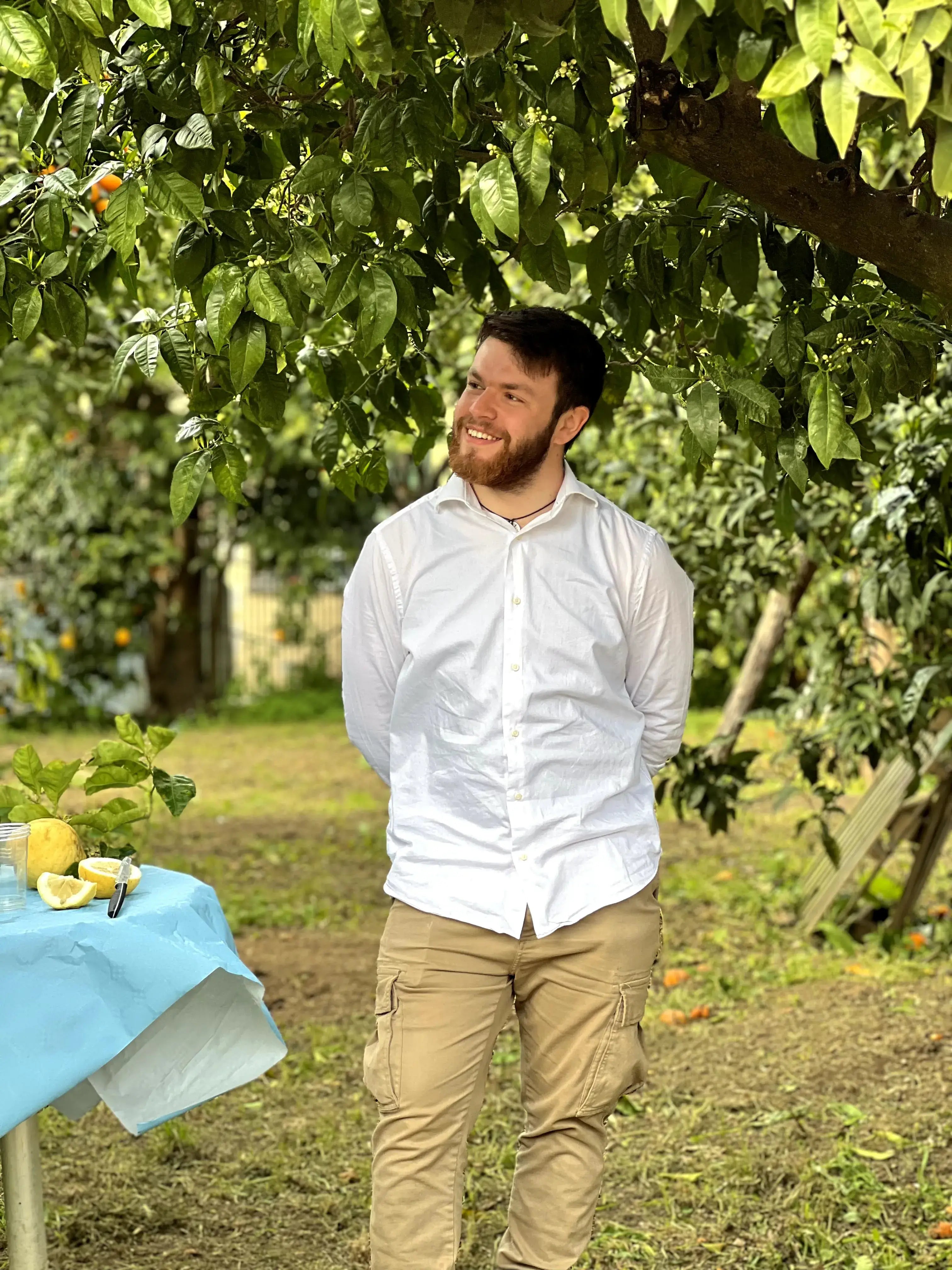 lemon farm piano di sorrento