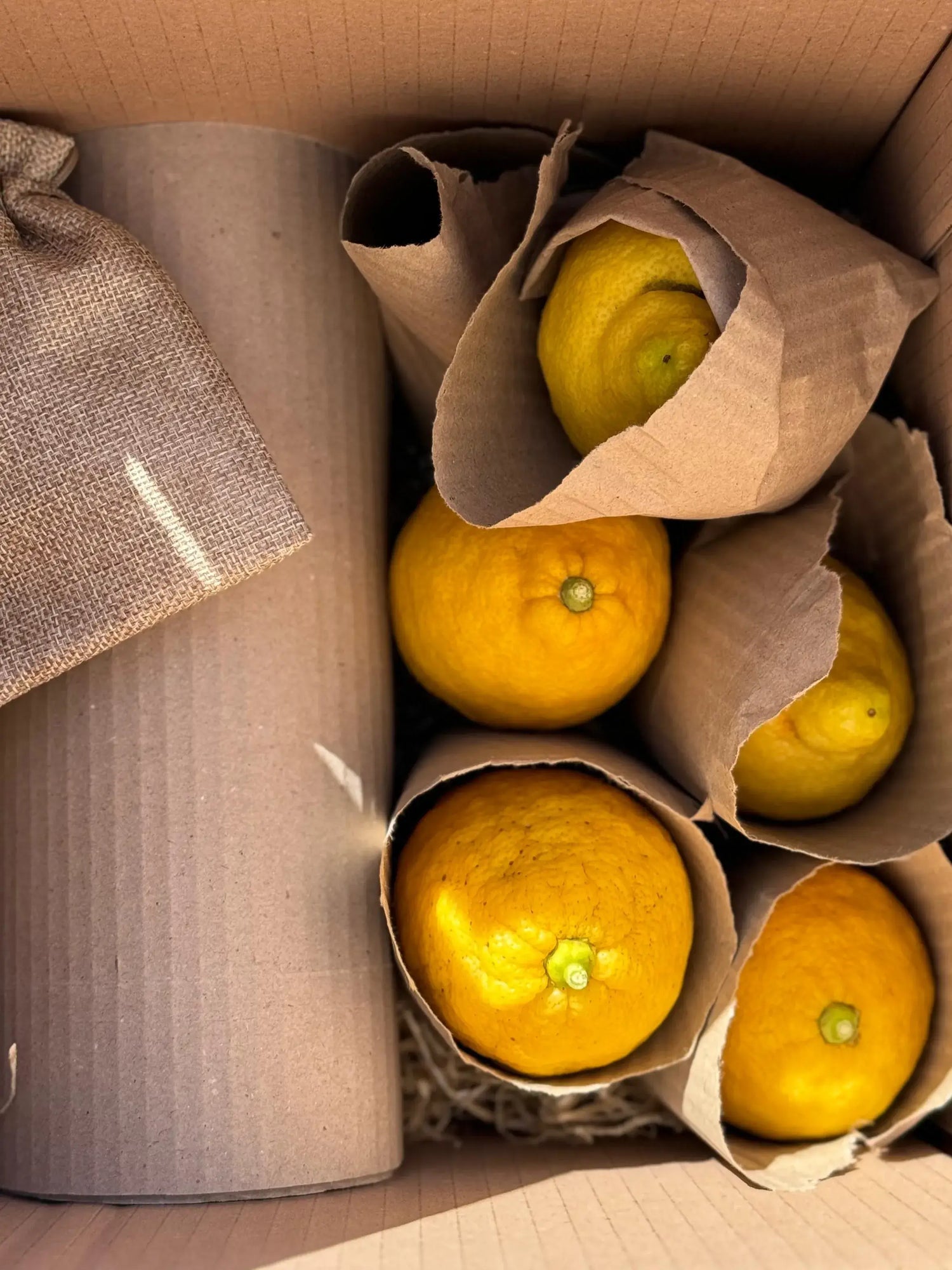 "Limoncello kit with fresh Sorrento lemons ready for crafting your own Italian liqueur experience at home"