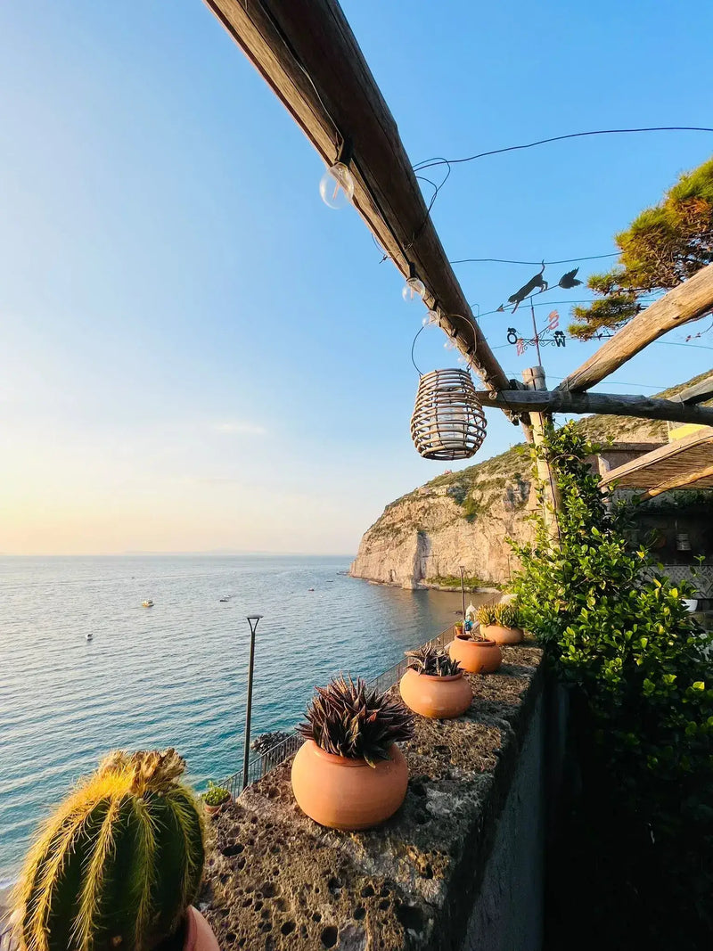 Private pizza making class view over the sea in Sorrento with potted plants and sunset sky.