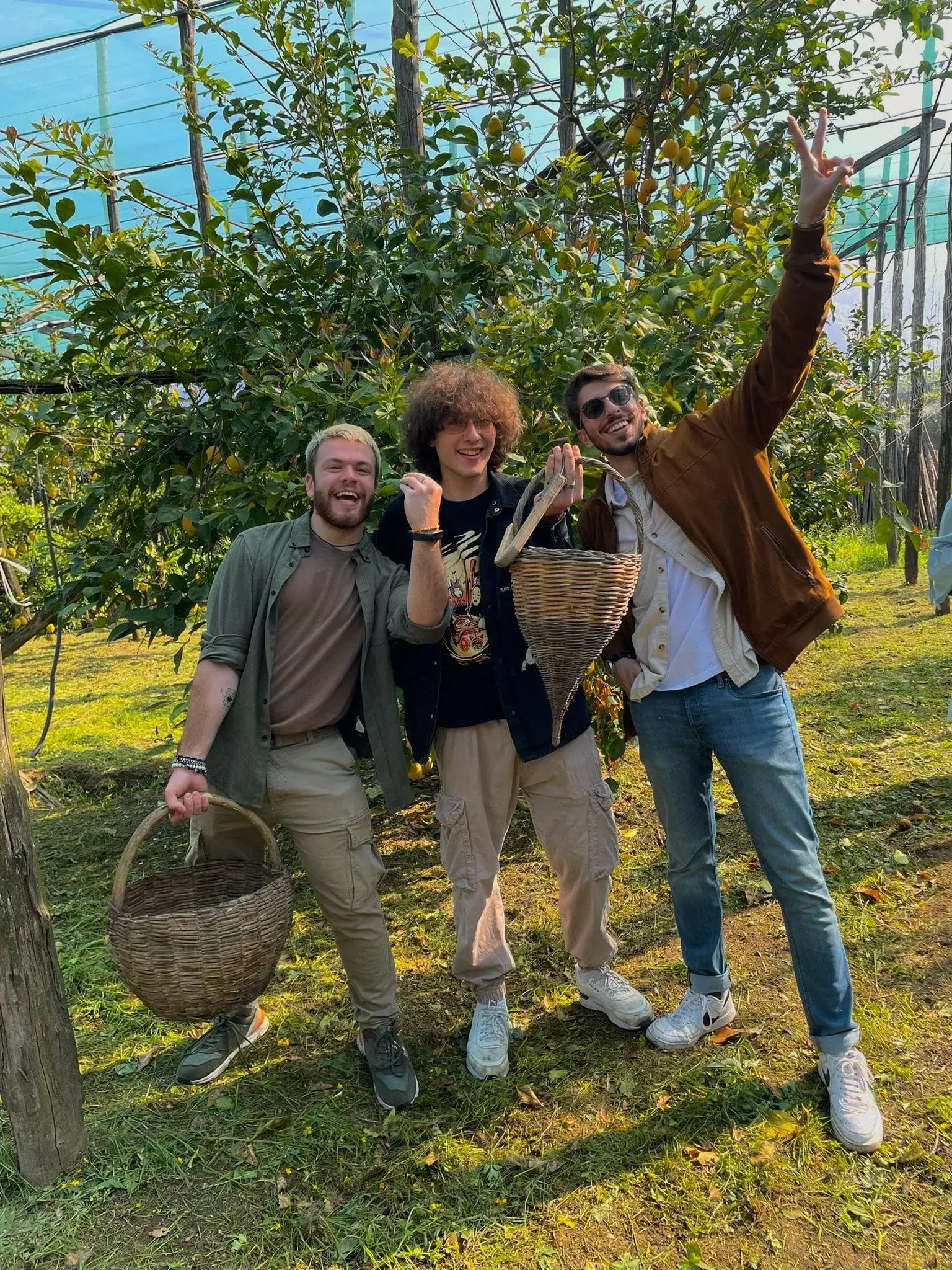 local guides in lemon tour sorrento