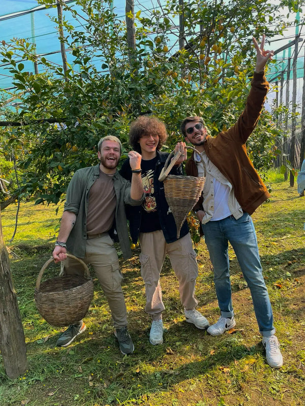 local guides in lemon tour sorrento