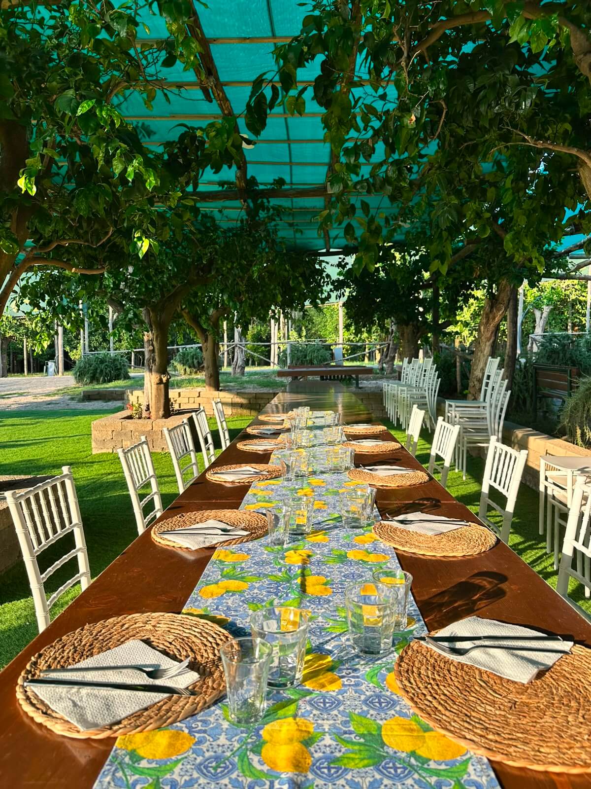 Lemon Tour and Limoncello tasting dining setup with decorated table under green trees.